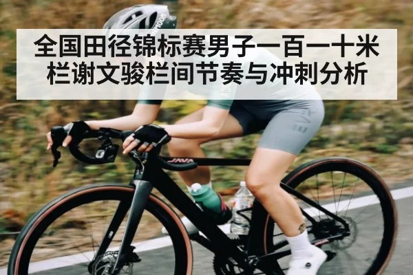 全国田径锦标赛男子一百一十米栏谢文骏栏间节奏与冲刺分析